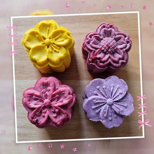 Mid-Autumn Mooncakes -Protein & Fruits (2025)